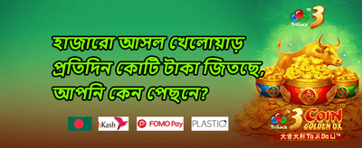 ডেইলি স্পিন ও ফ্রি স্লটস promotion